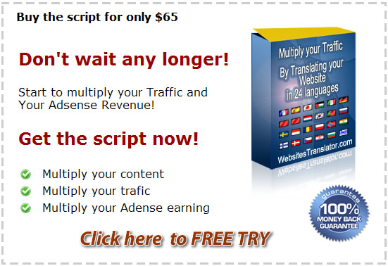 Website Translator